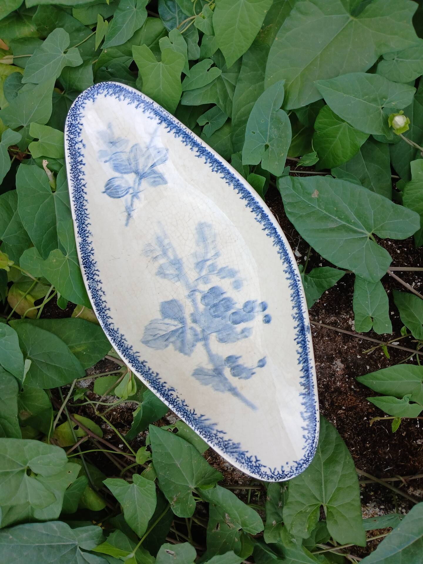 Old Ravier in Sarreguemines ironstone