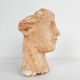 Head of Aphrodite In Platre