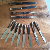 Service 12 horn handle knives