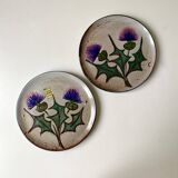 Assiettes chardons Daniel Etienne