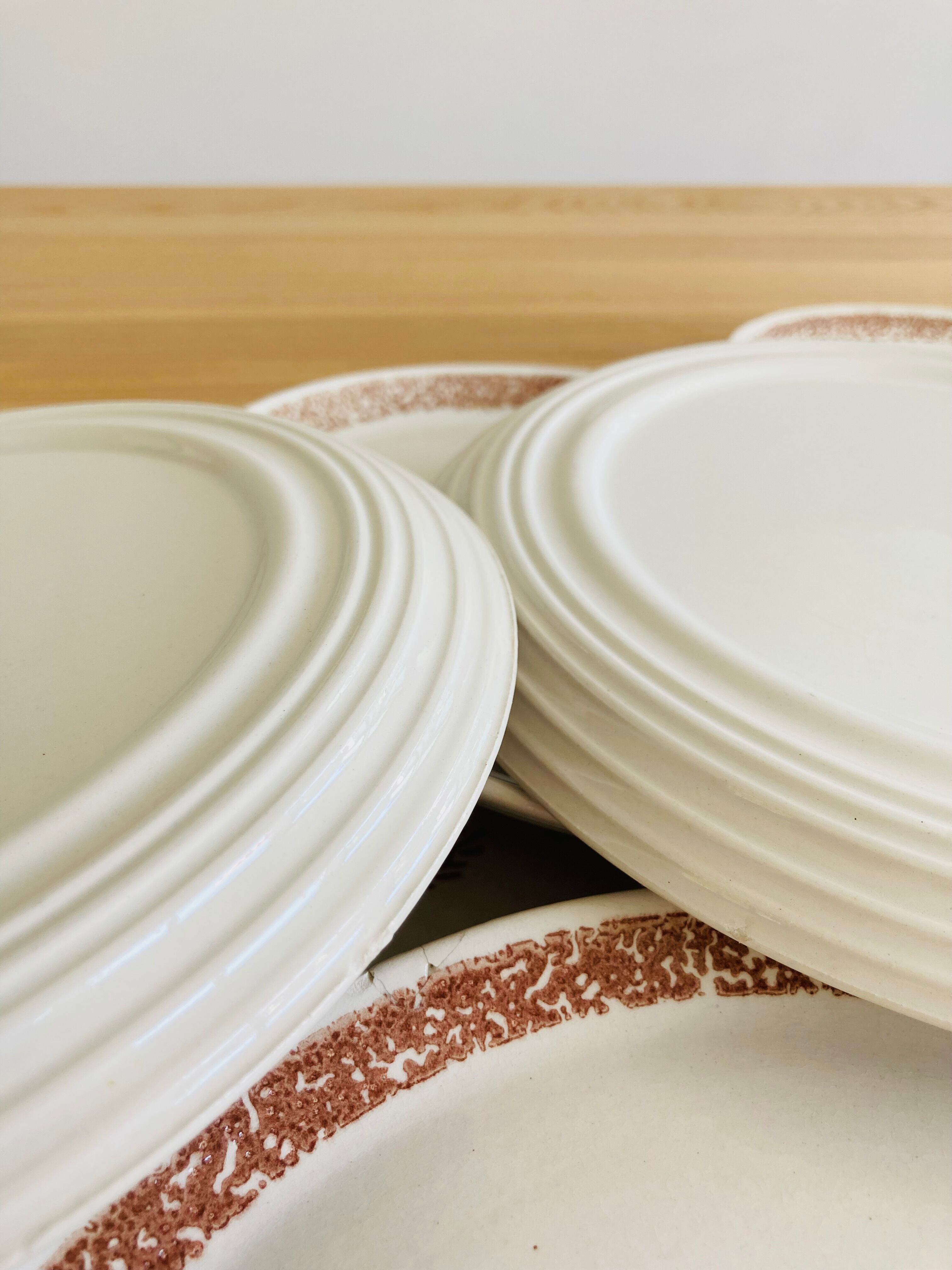 9 dessert plates herbarium thistles