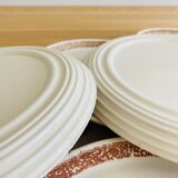 9 dessert plates herbarium thistles