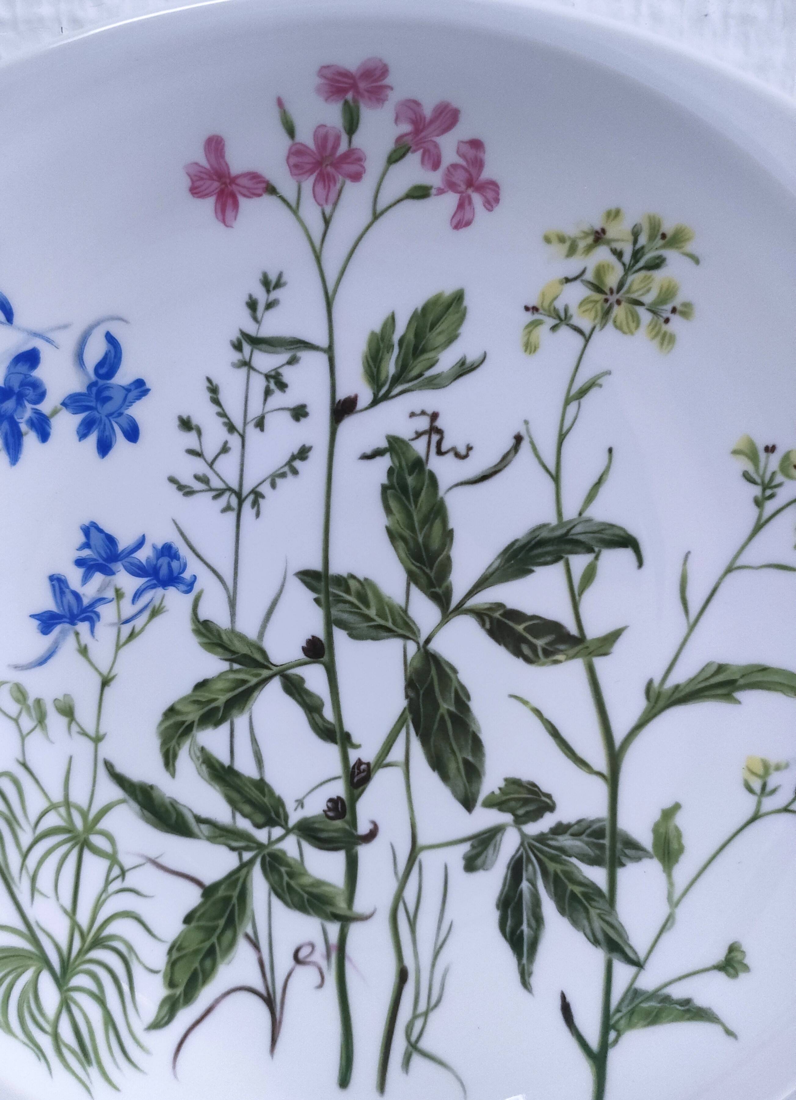 Eleven soup plates Alcée model porcelain Bernardaud Limoges floral decor