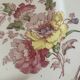 Set of five old flat plates Bisto England Model Anson Sp