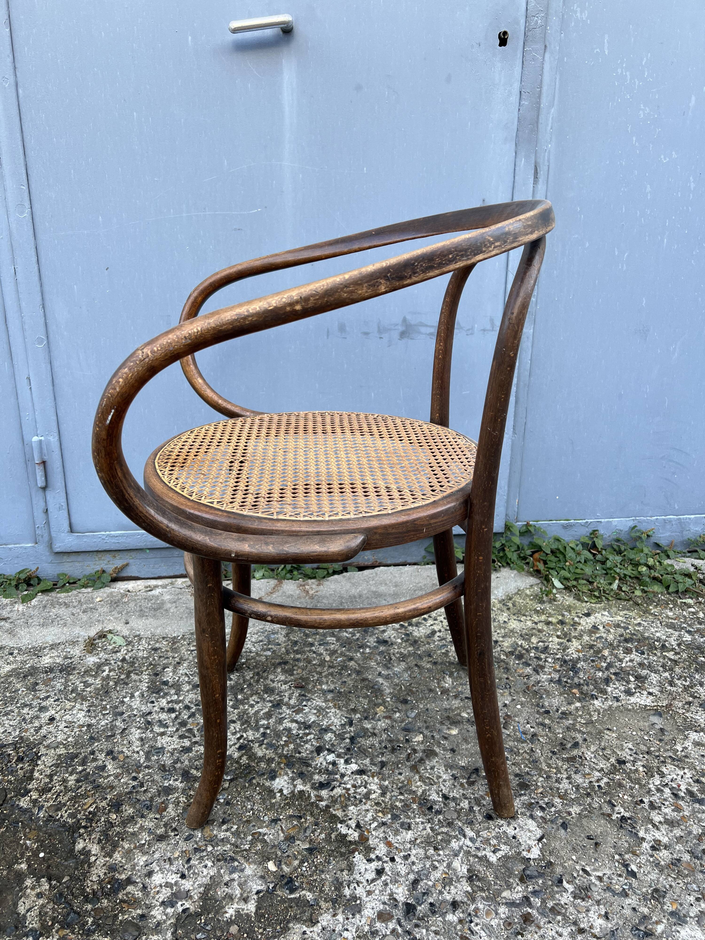 Thonet 209 chair by Mundus