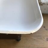 Testut scale in bakelite