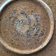 8 plates dessert speckled sandstone meylan st amand