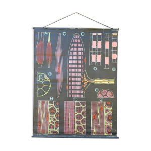 Affiche scolaire vintage - tissu