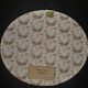 Natural History Entomology oval frame with cicada tosena paviei