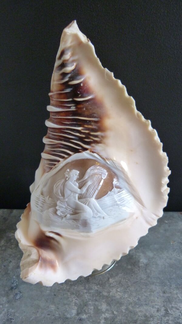 Lampe veilleuse coquillage camée décor mythologique