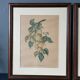2 tableaux reproduction poires et prunes