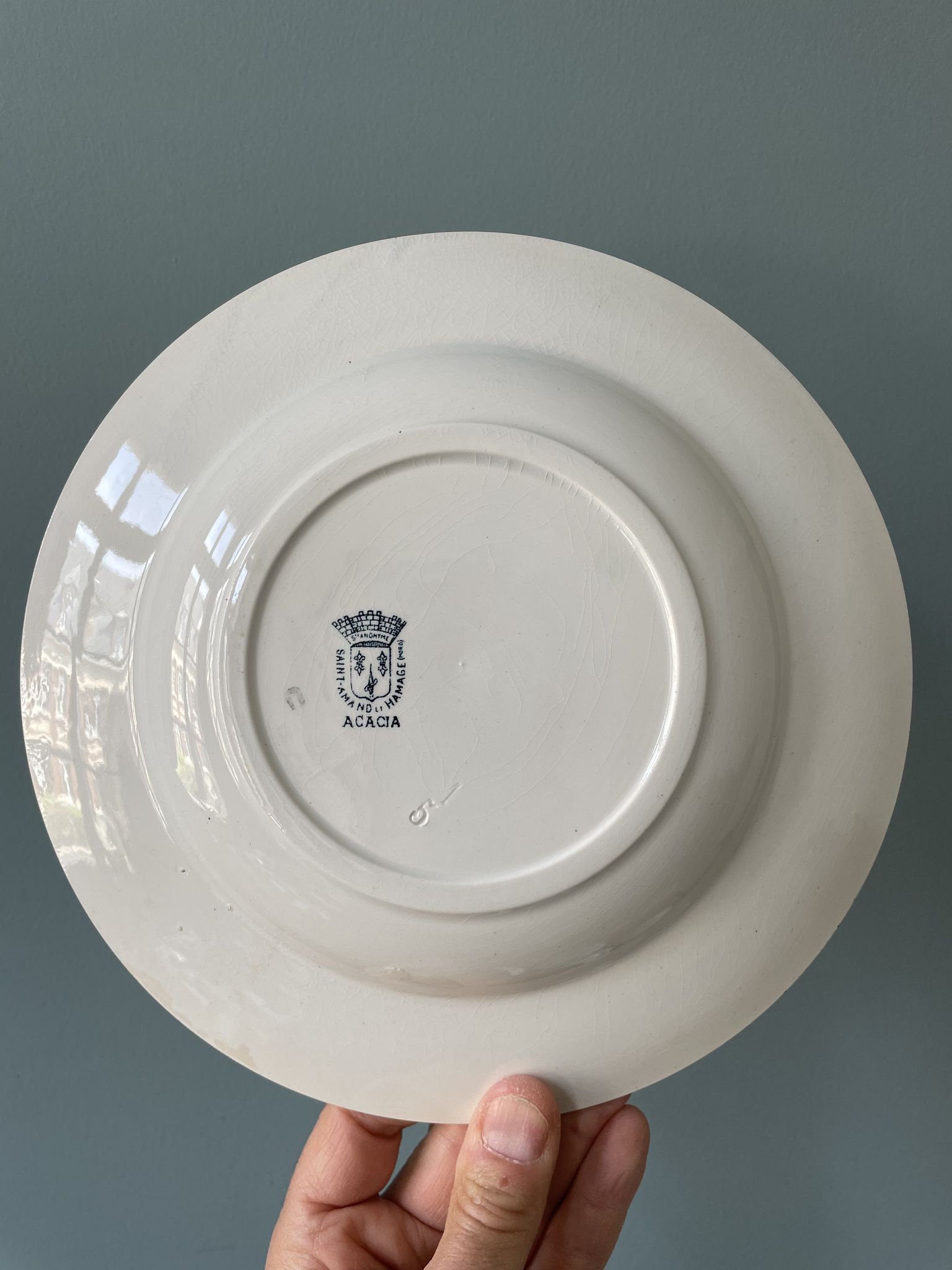 Set of 7 mismatched hollow plates Terre de Fer XIXth