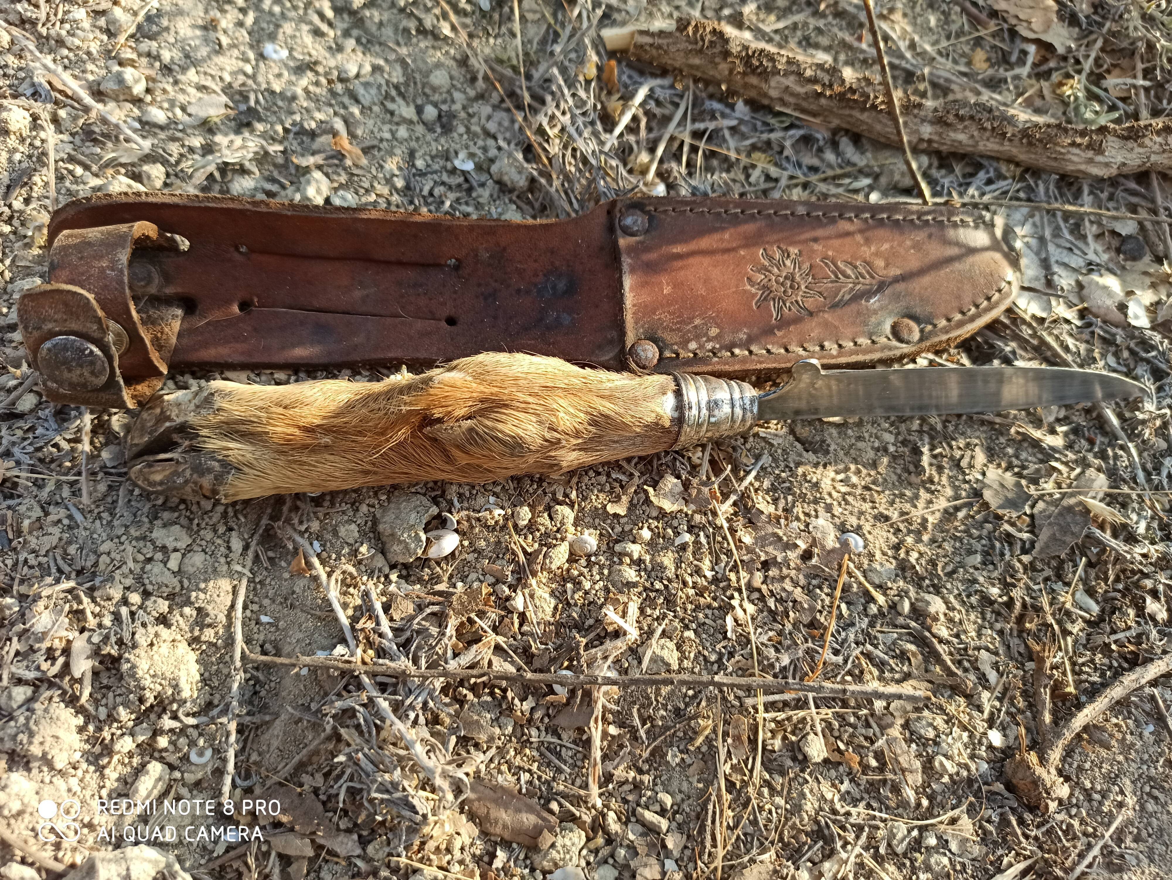Old mushroom knife goat paste