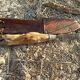 Old mushroom knife goat paste