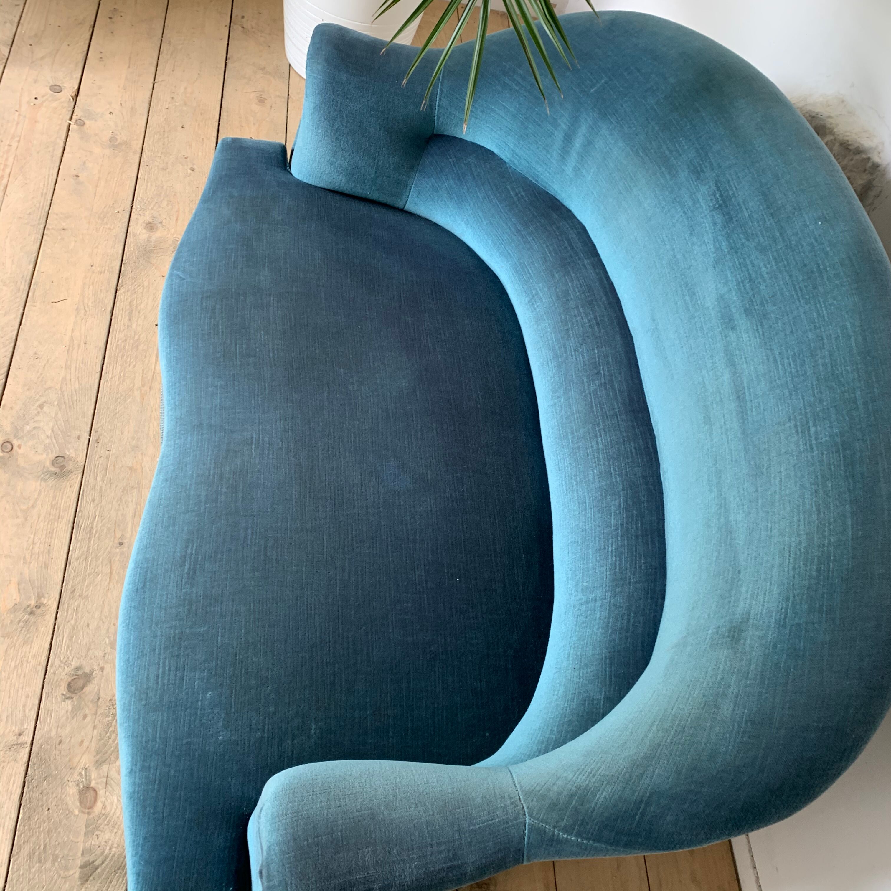 Toad bench blue velvet