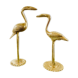 Couple of birds ibis or brass herons