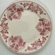 6 assiettes plates Terre de Fer U&C Sarreguemines – Modèle Biarritz