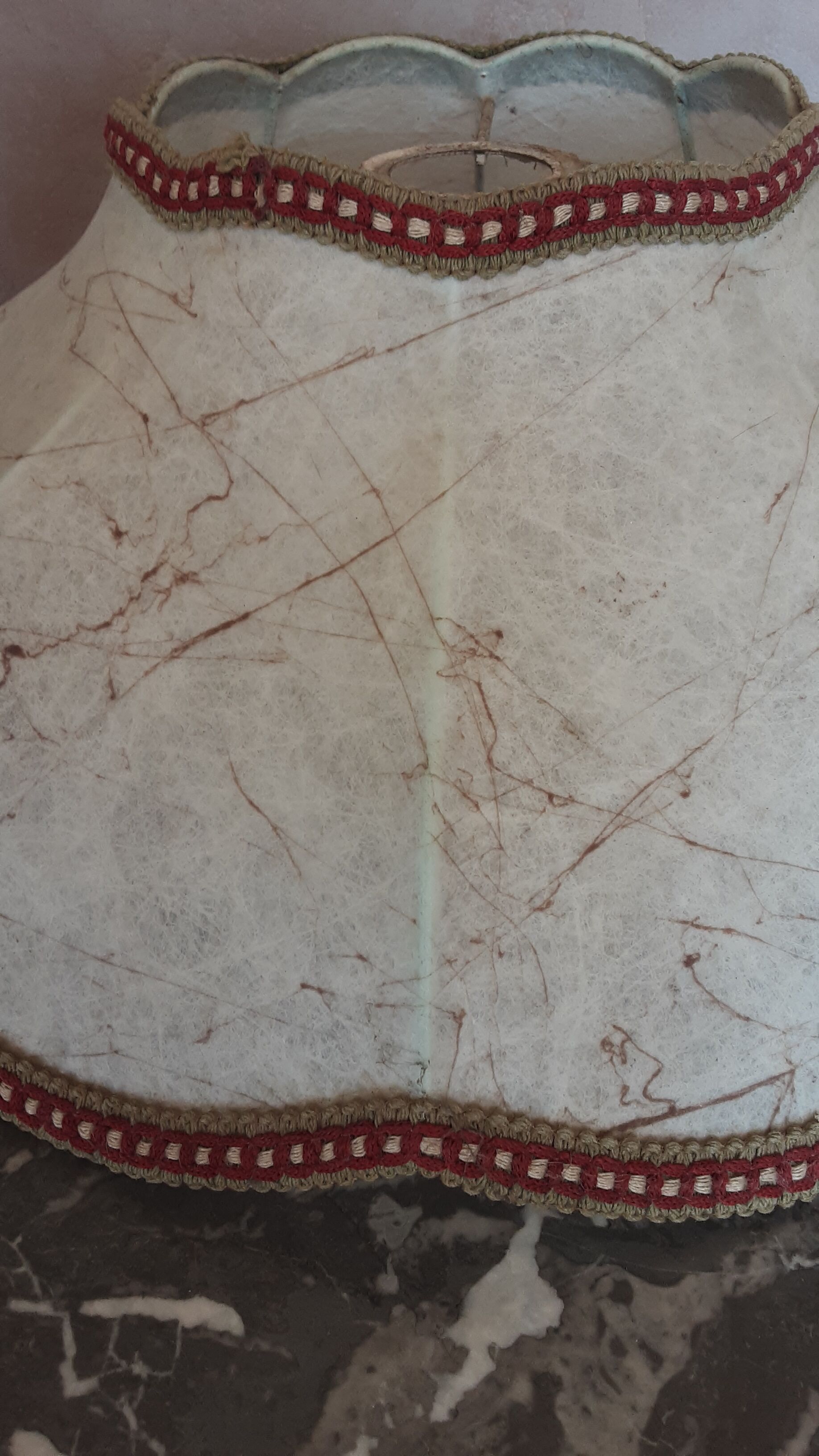 Old lampshade in pork bladder - trimess