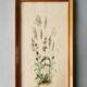 Watercolor painting of wildflowers and grasses, signed, 70s