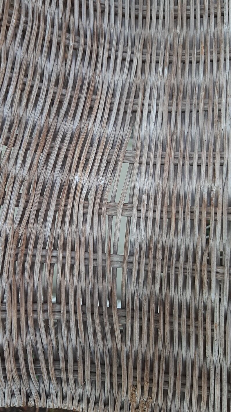 Iron and wicker bird cage