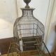 Cage à oiseaux 1900
