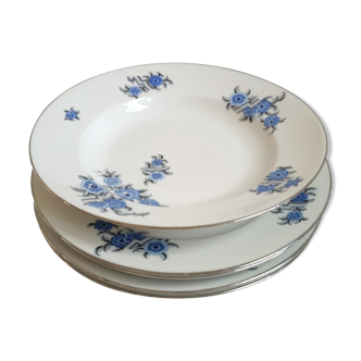Suite de 5 assiettes en porcelaine F.Legrand et Cie