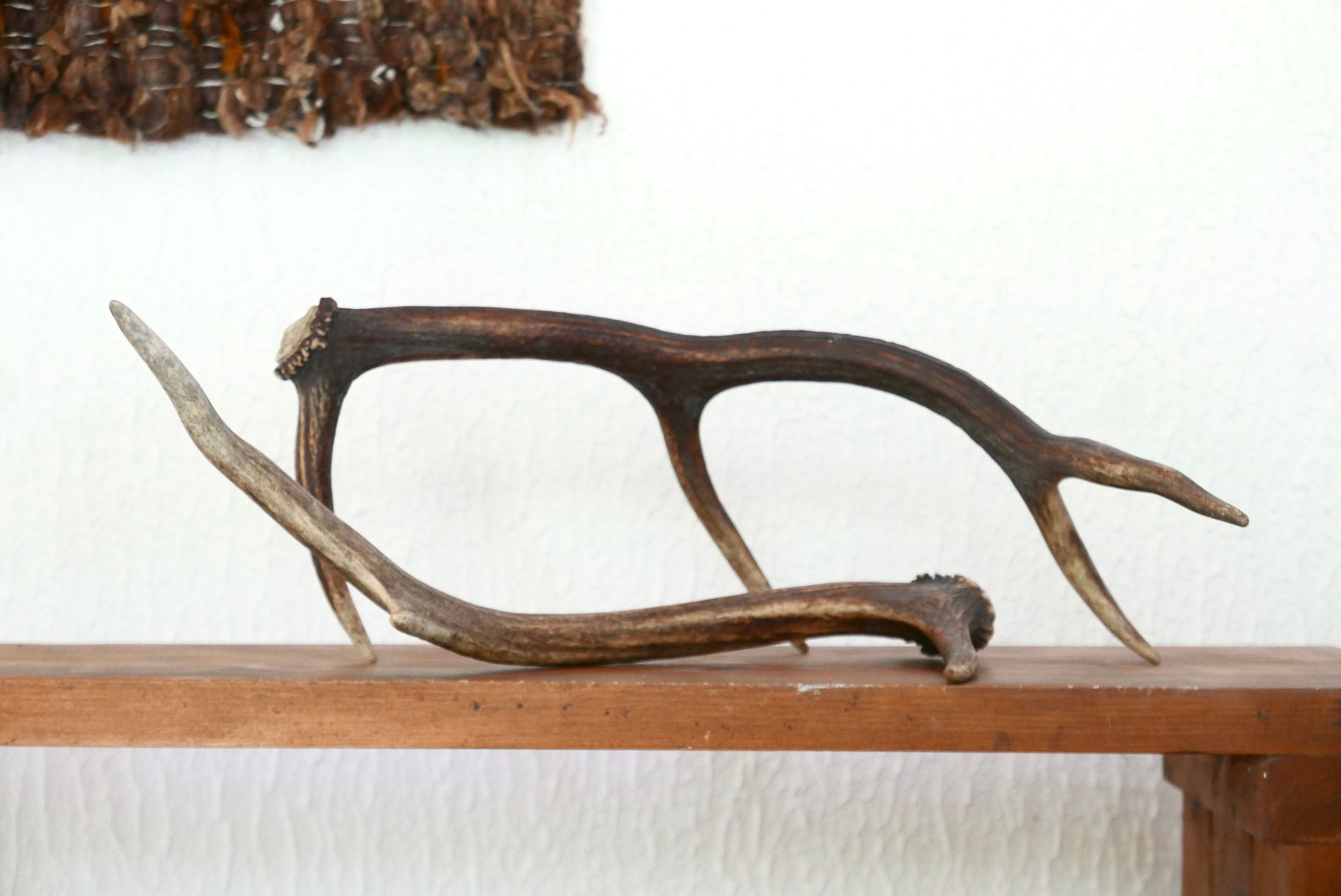 Pair of deer antlers, 70s