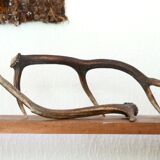 Pair of deer antlers, 70s