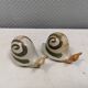 Ceramic snails as salt and pepper shakers, Denmark, 1970s-1980s