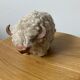 Buffalo statuette