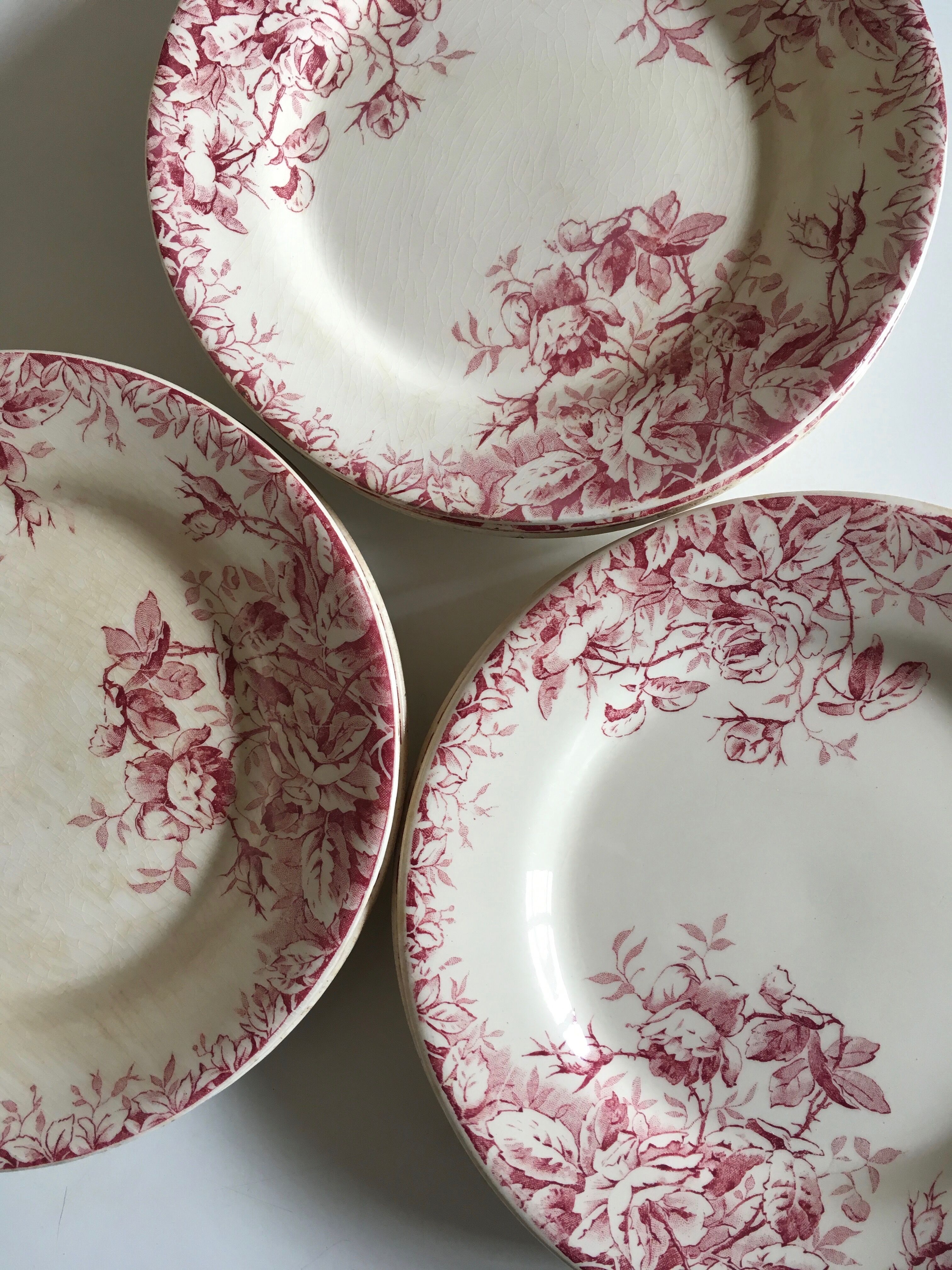 Series of 11 plates flat 19th in faience of Gien