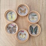 Ensemble de sous verres papillons