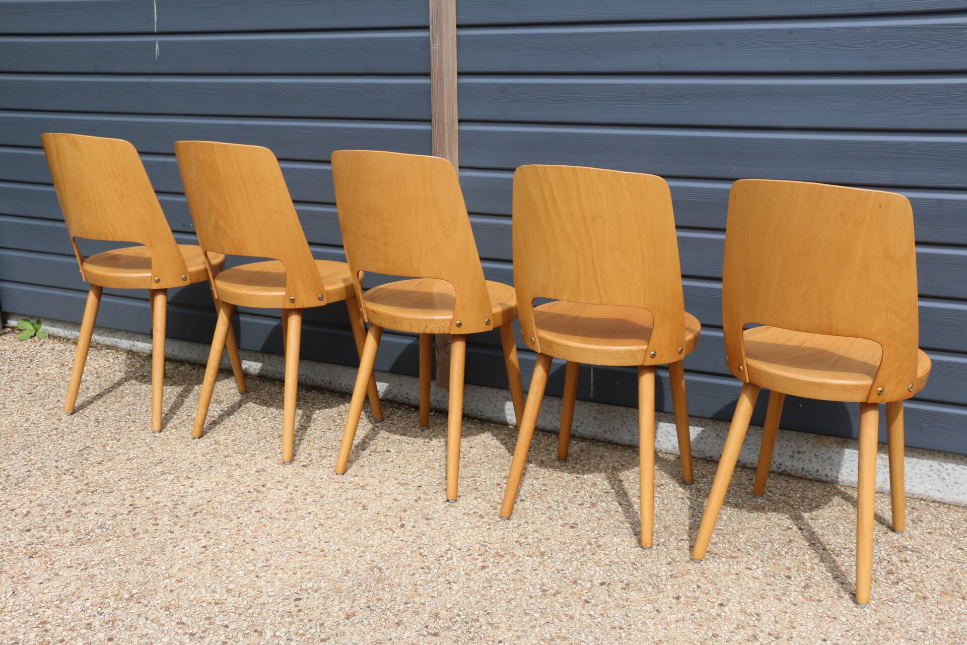 5 BAUMANN “MONDOR” light beech chairs