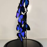 Flight of butterflies under globe.