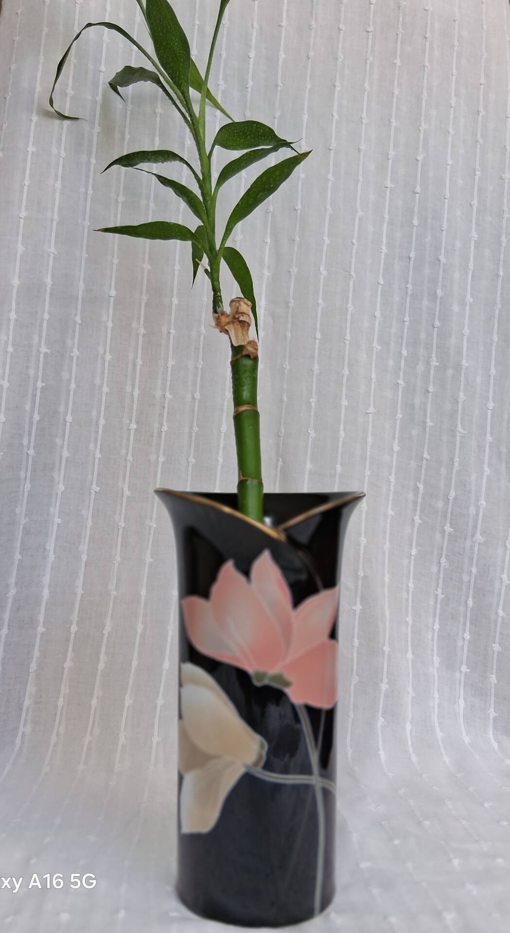 Superb vintage vase in glossy black glazed porcelain. Yamaji.