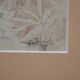 Pencil drawing "Landscape of Ruins" 1918 signed and dated