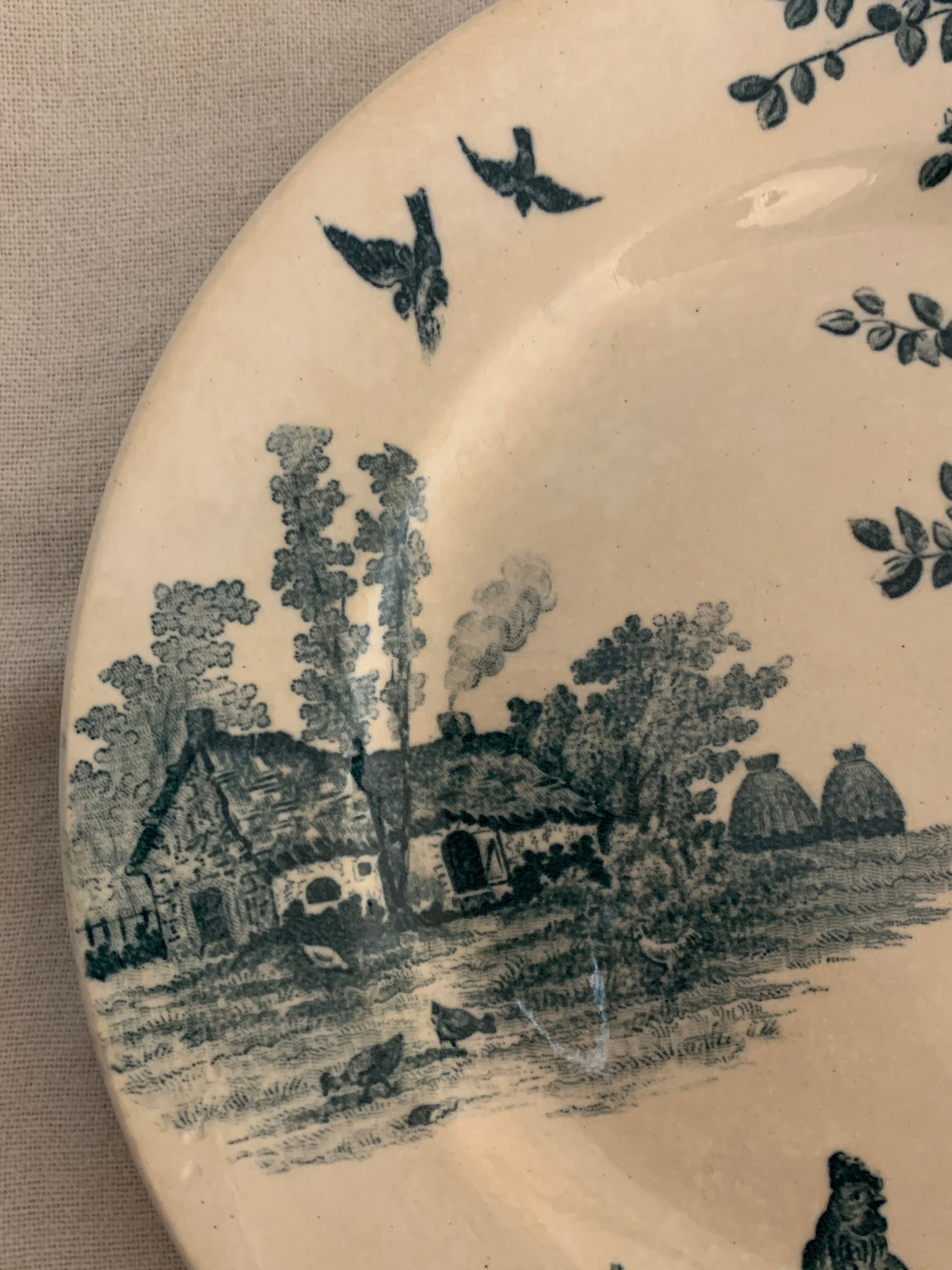 9 dessert plates old chickens, geese and pheasants blue field service Terre de Fer