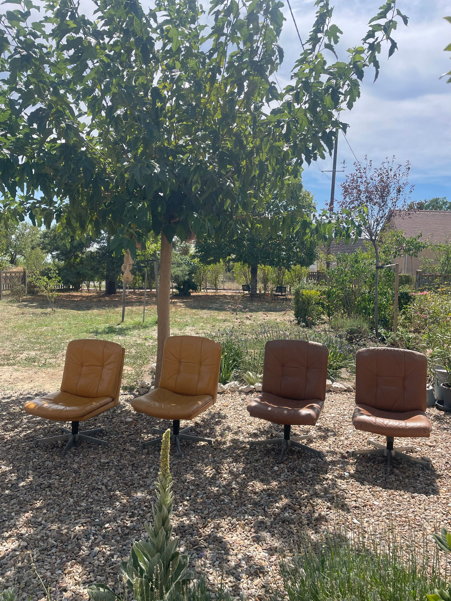 Pair of swivel armchairs in cognac leather – 1970s