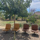 Pair of swivel armchairs in cognac leather – 1970s
