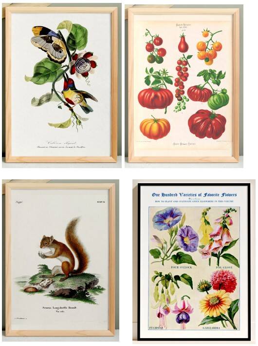 Set of 4 reserved posters