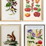 Set of 4 reserved posters