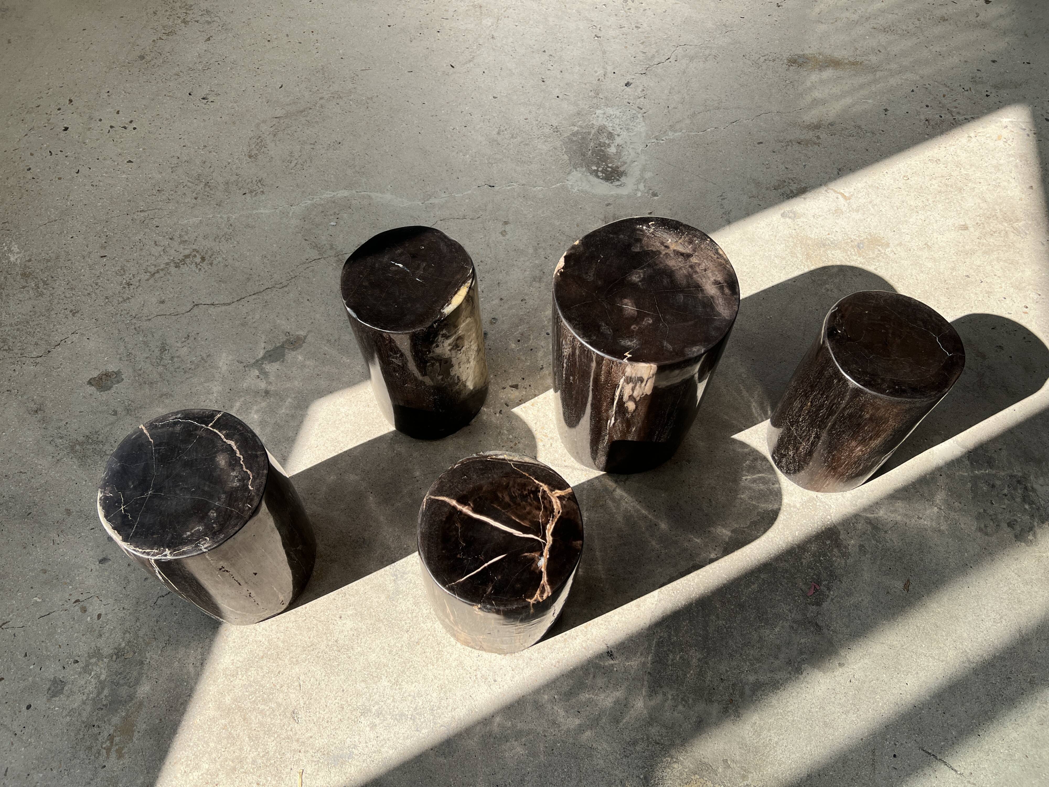 Side table in black petrified wood h:28,5cm d:17cm