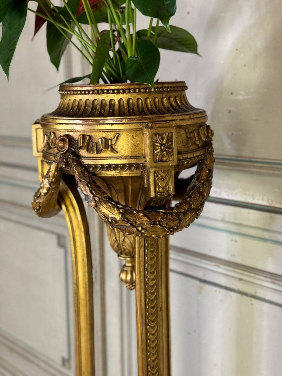 Louis XVI style planter in carved and gilded wood circa 1900