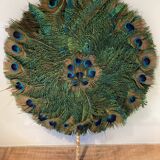 Peacock feathers