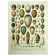 Antique lithograph 1928 A. Millot - Eggs, Oology, Incubation, animals
