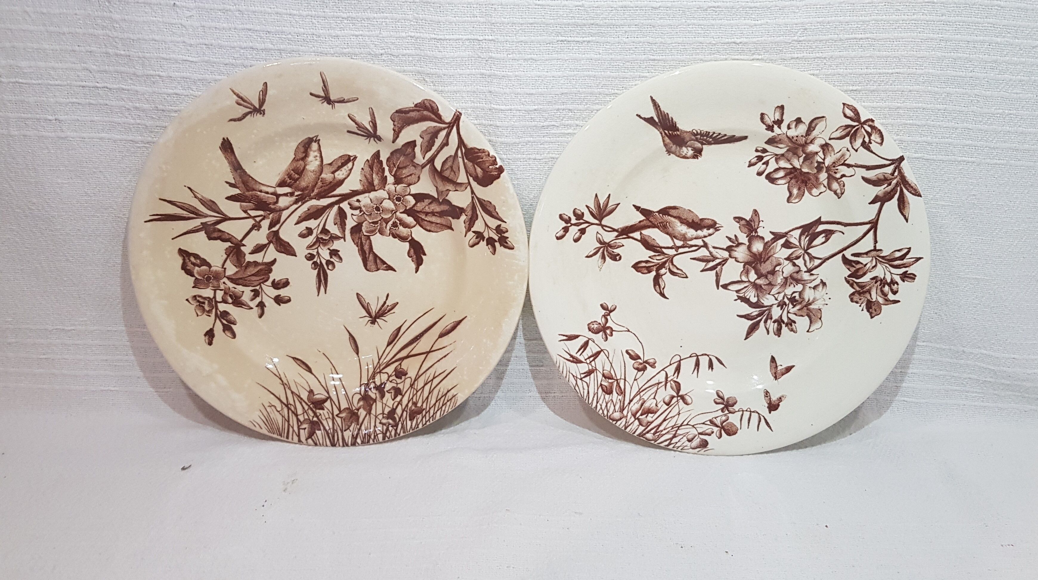 Set of 4 flat plates in Clairfontaine earthenware model Flowers, iron earth