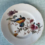 6 polychrome flat plates HB&Cie Choisy Le Roi