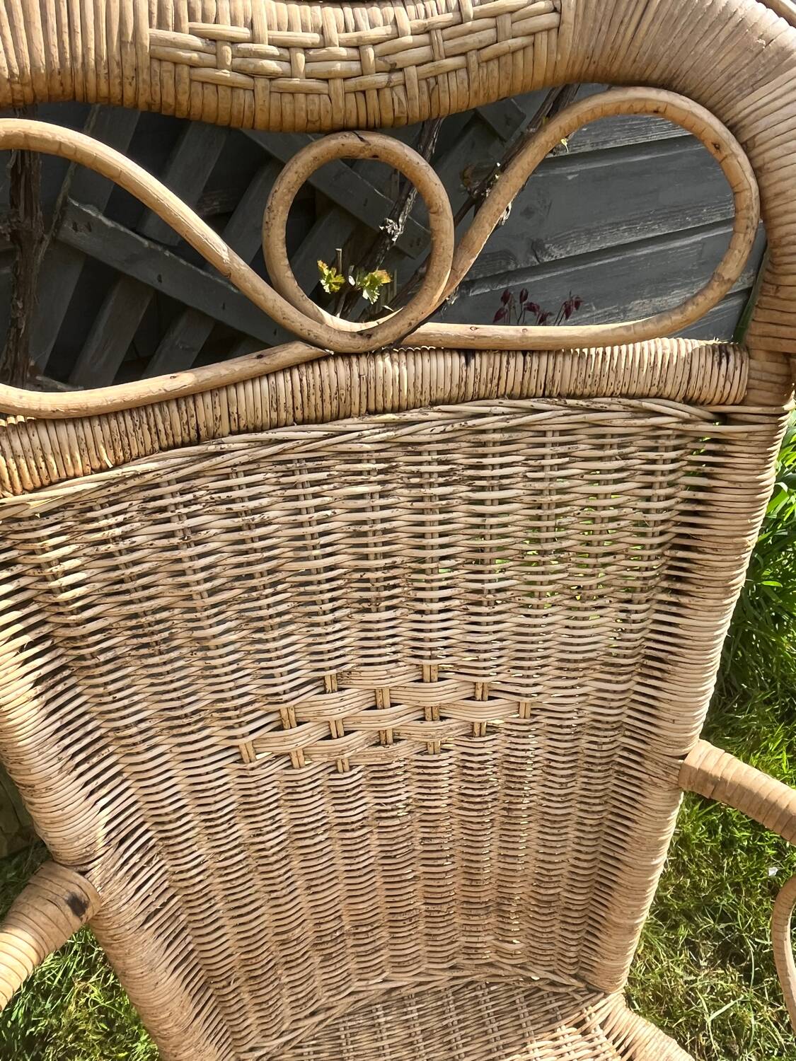 Rattan armchair duo