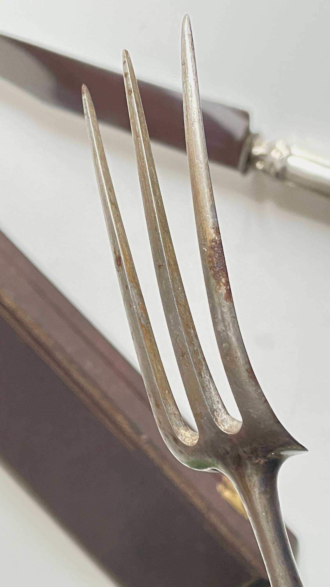 Silver and Silver-Plated Meat Cutlery PARIS