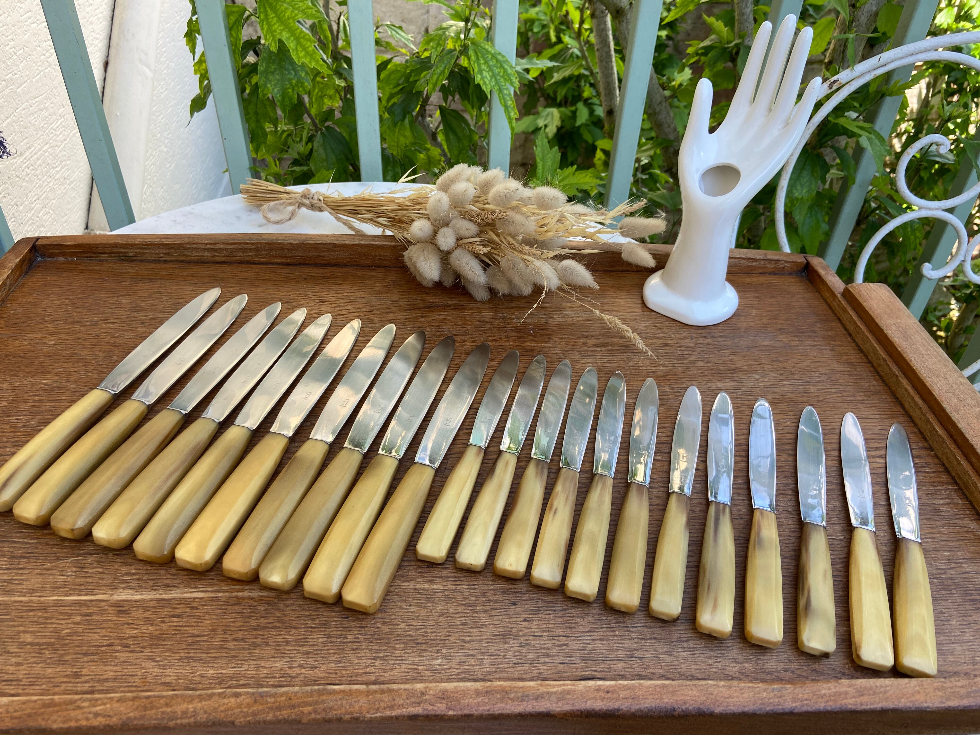 Set of 10 knives and 12 vintage horn knives